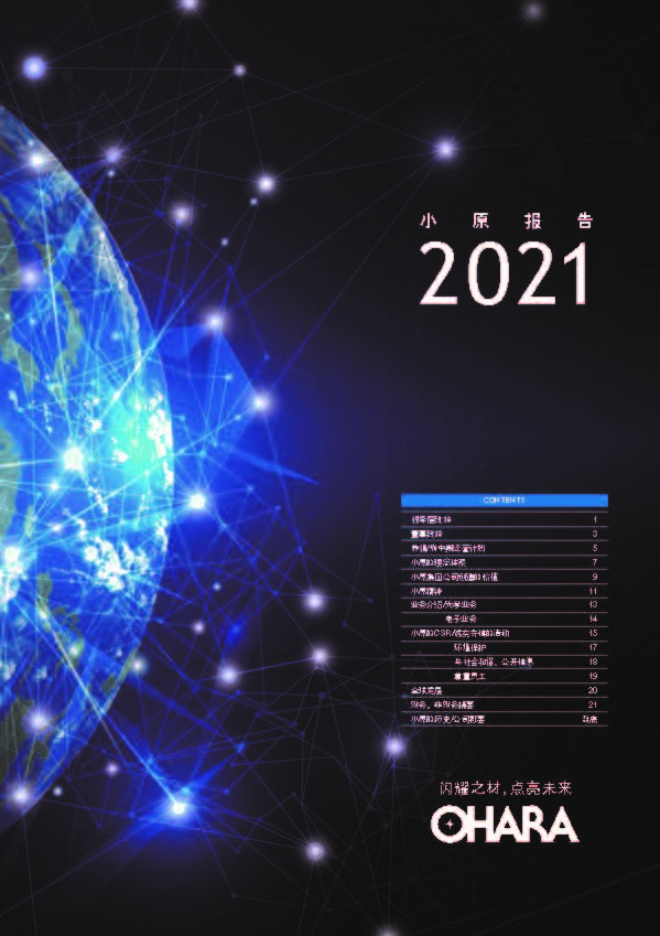 report2021_cn