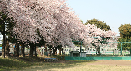 クラブ活動