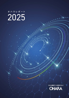 report2025